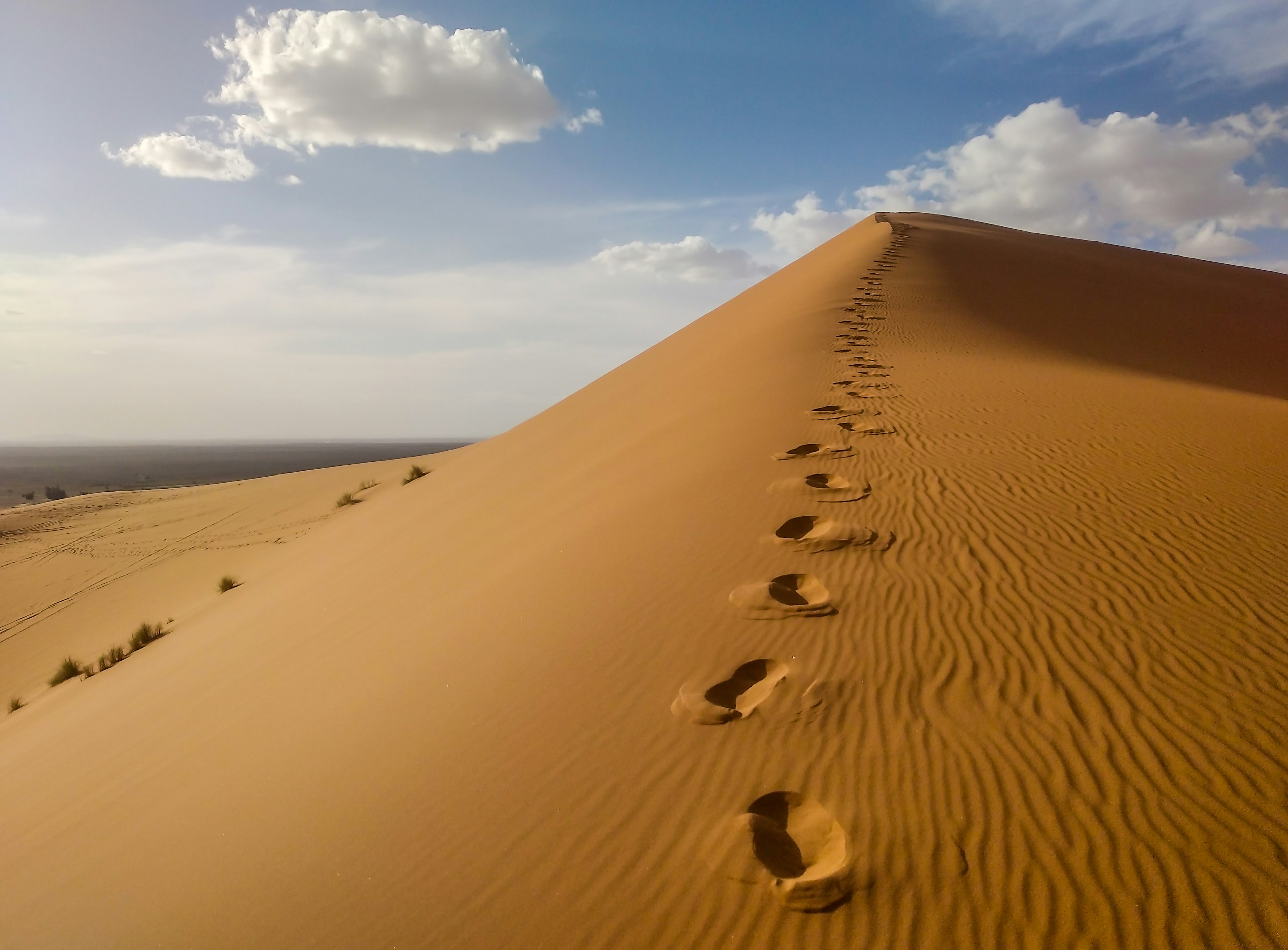 brown sand under blue sky during daytime